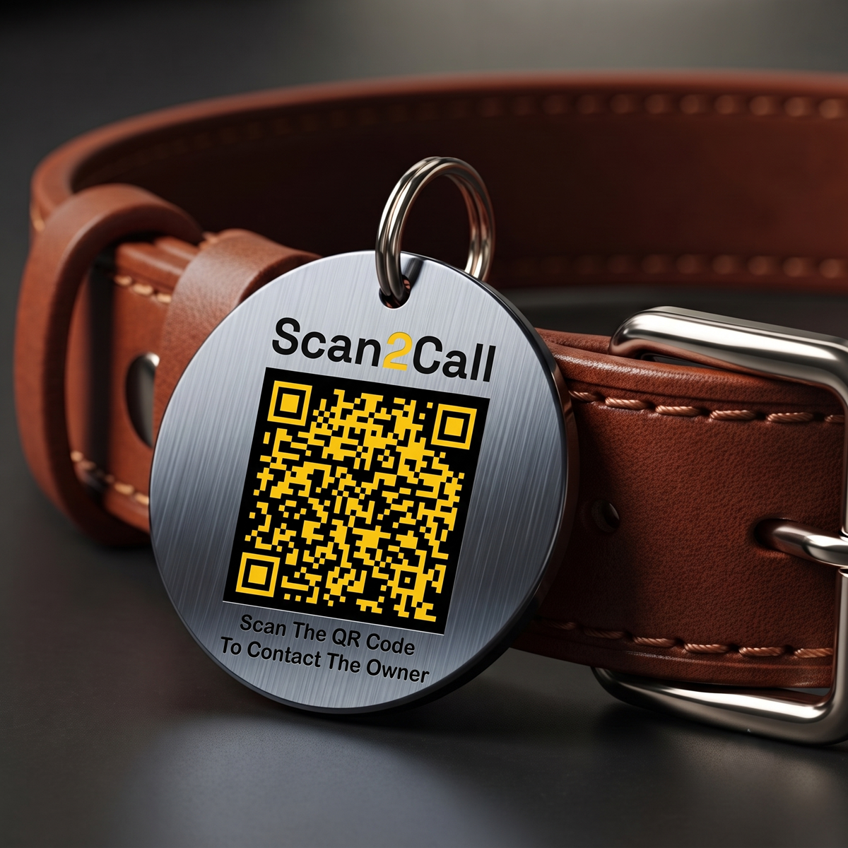 Pet Collar Tag
